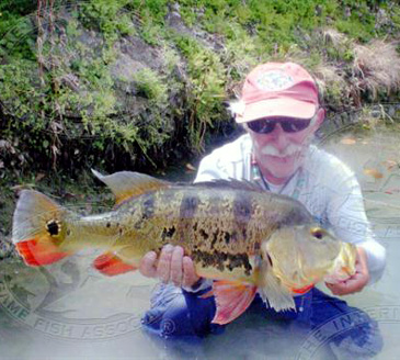 Record photograph for Cichla monoculus